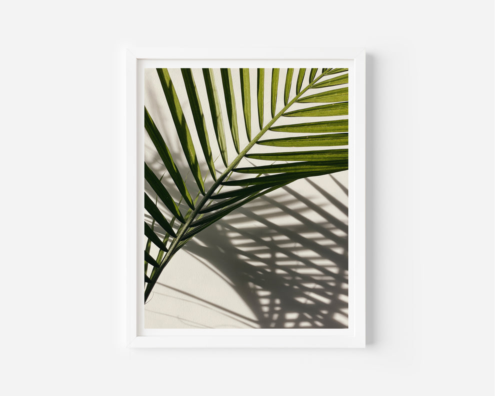 shadow play print – Kristin Konefal